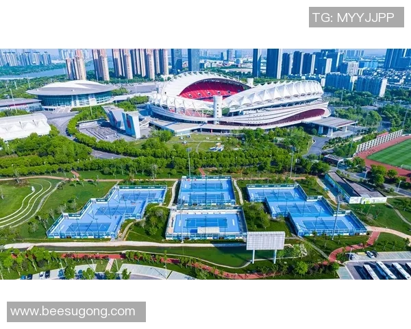 武汉网球队技术争议引发热议球迷与专家各执己见探讨未来发展方向