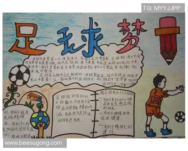 利姓足球明星的辉煌历程与成就解析