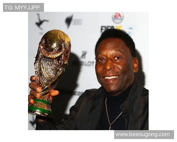 铅笔袋里的足球传奇贝利带你领略绿茵场上的辉煌与梦想